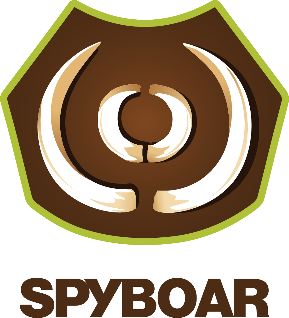 Spyboar